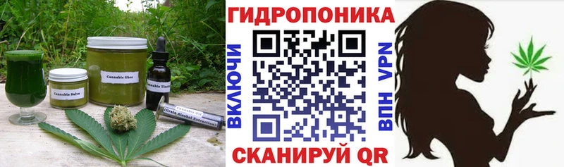 где продают наркотики  Назрань  Печенье с ТГК марихуана 