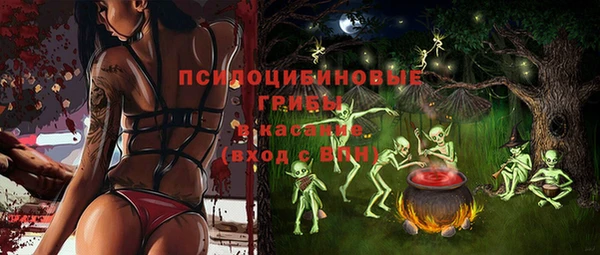 прущие грибы Красноперекопск