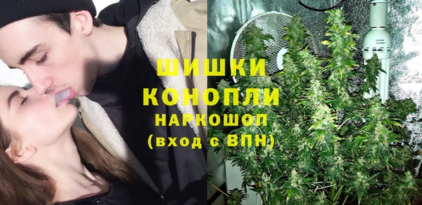 прущие грибы Красноперекопск